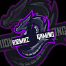 Riomaz Gaming