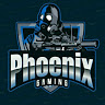 Phoenix Gaming