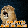 PALPITES JOGO DO BICHO