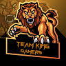 TEAM KING GAMER