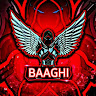 BAAGHI GAMER 52