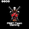 PB07 Team Gaming