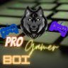 Pro Gamer Boi