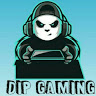 DIP GAMING