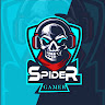 Spider Gamer