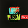Anoop Muscat Shorts YT