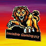 Invisible Gaming 012