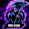 HC 999 FF
