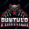 Panther Gaming