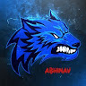 Abhinav Gaming