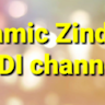 I Z S Channel