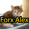 Forx Alex