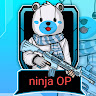Ninja Boy Gamer