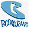 Boomerang Network