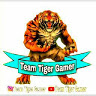 Team Tiger Gamer