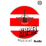 SPD Musical Audio