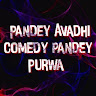 Pandey Avadhi Comedy Pandey Purwa