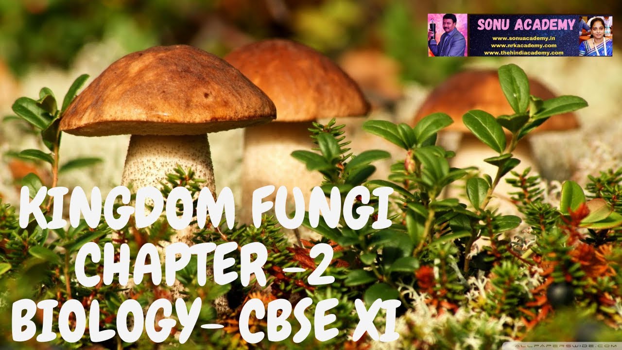 Kingdom Fungi || Biological Classicification | Chapter -2 | Biology | CBSE #biology