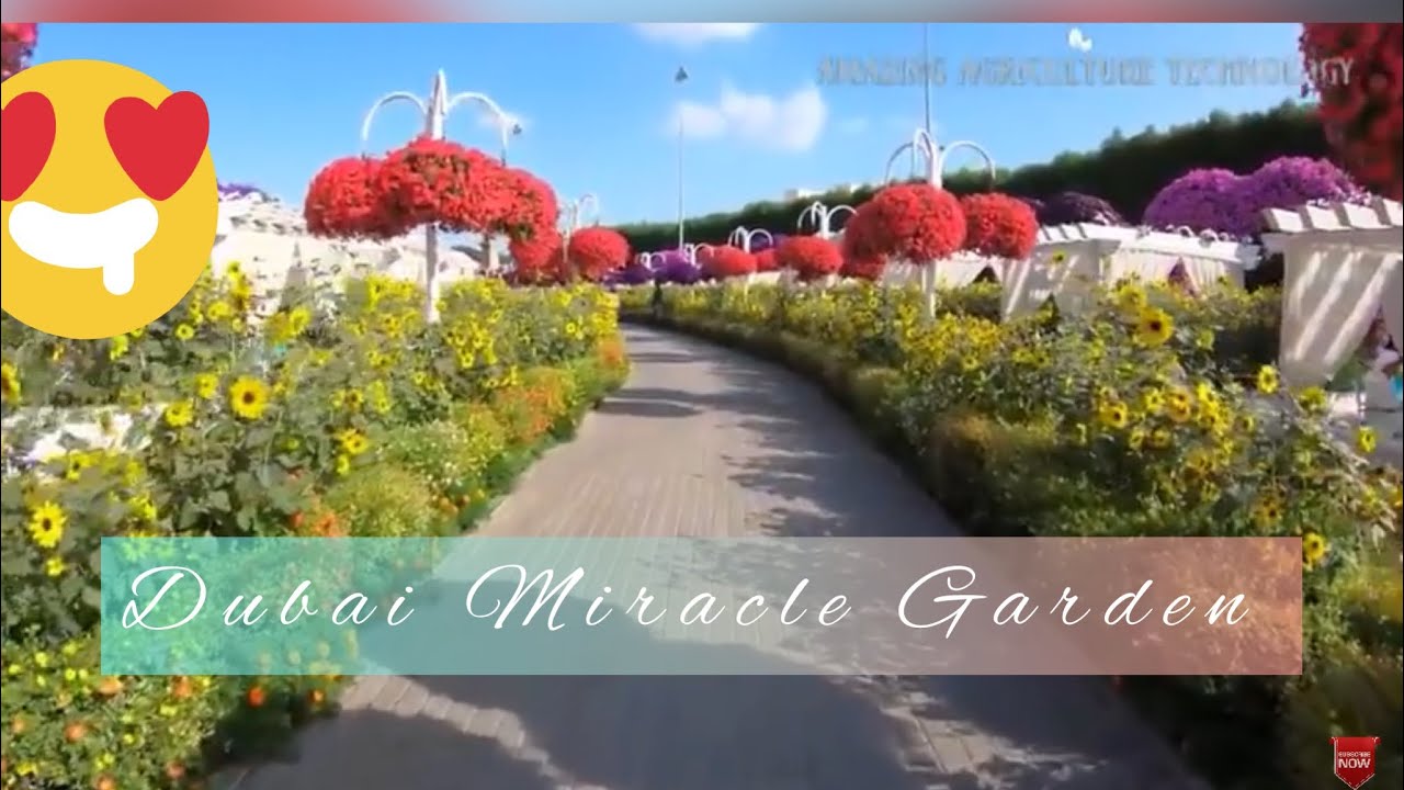 Wow!! What a Beautiful Dubai Miracle Garden 2020