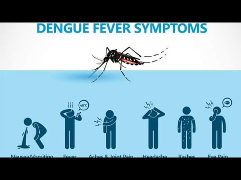 Dengue fever reason and solution