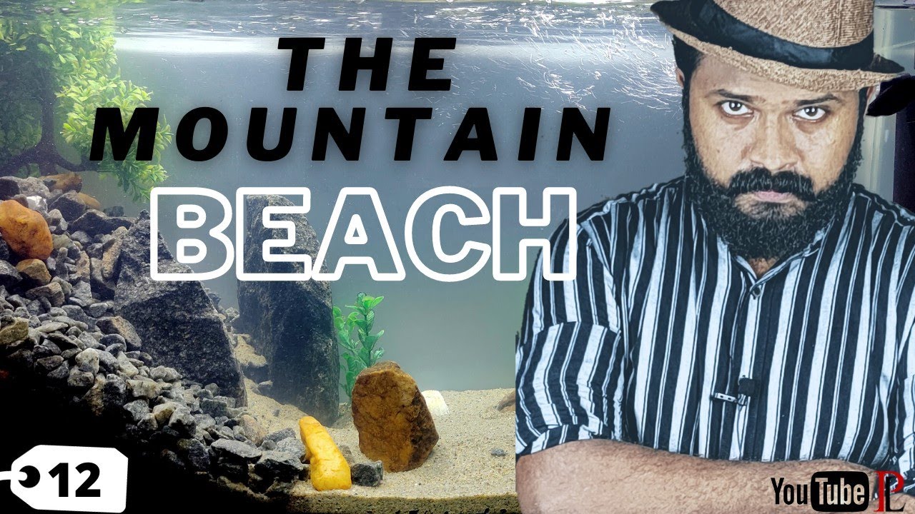 THE MOUNTAIN BEACH|AQUASCAPE|BEACH AQUASCAPE|SEA|USE HEADSET|ISLAND