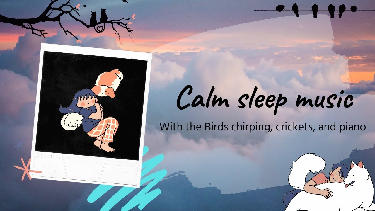 Calm music for sleep and meditation / Birds chirping, soft cricket sound with piano music