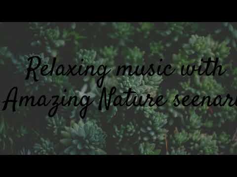 Relaxing music with Amazing Nature seenary ???