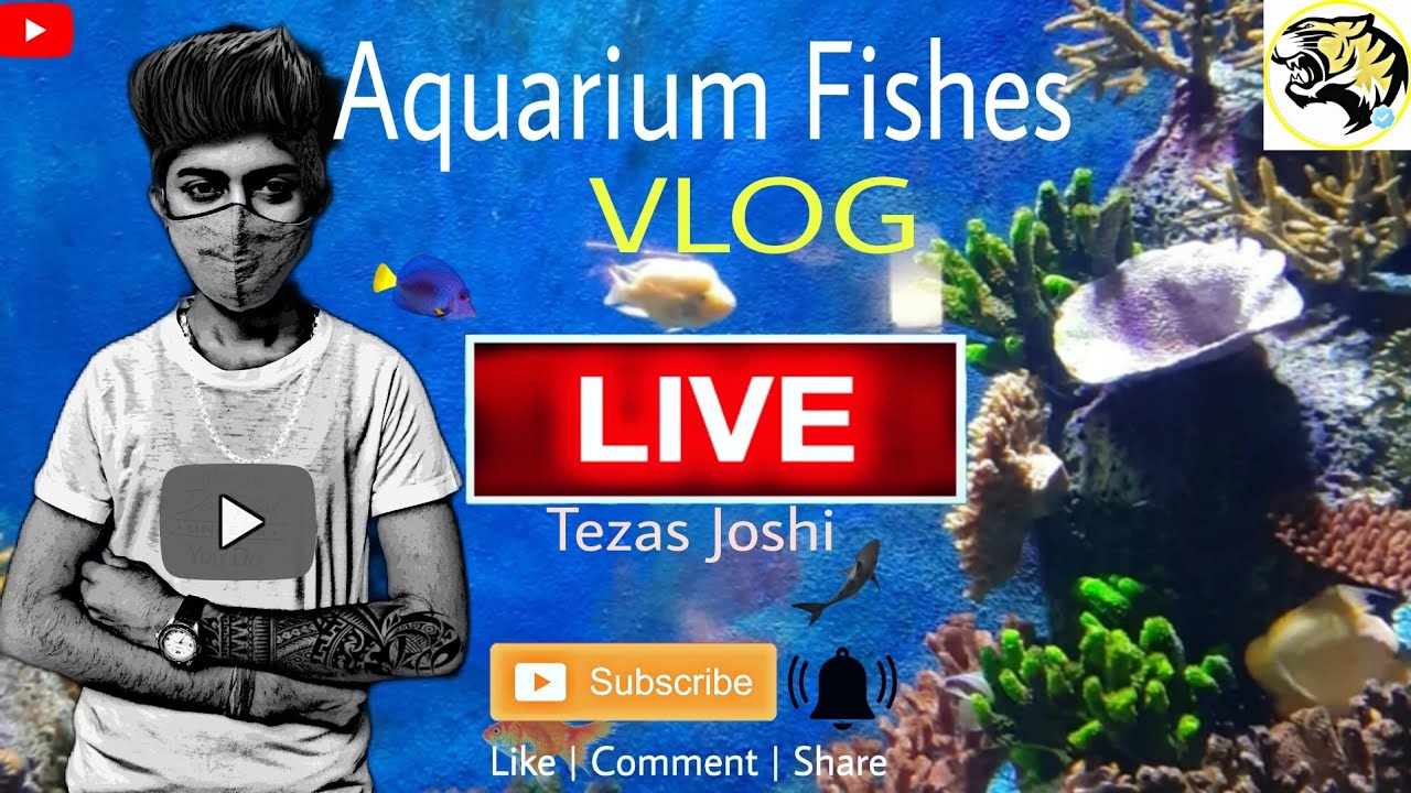 HOME? Aquarium VLOG- On Live Tezas Joshi team/Mona & Atlanta/Sucker Fish,Goldfish,Shark/Last Video