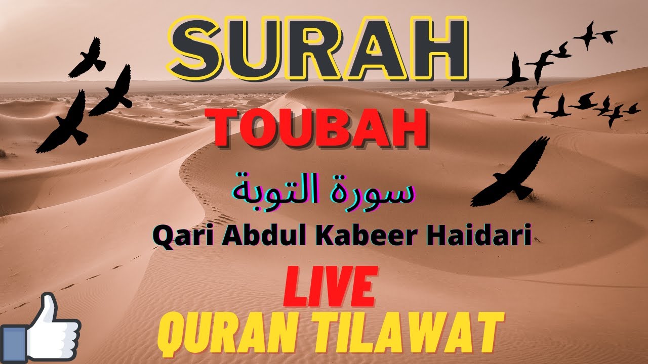 Surah Toubah - abdul kabeer haidari - سورة التوبة - Live Quran Tilawat #surahtoubah #surahyaseen