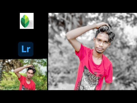 How to Snapseed and Adobe Lightroom cb photo editing tutorial || New edition video ||#short #shorts