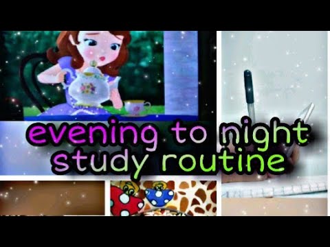 ll Evening to night routine ll