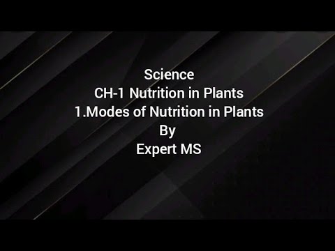 Class 7 Science Chapter 1 Nutrition in Plants By Expert MS