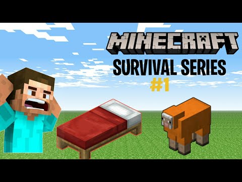 Minecraft :- Survival series #1 #minecraft