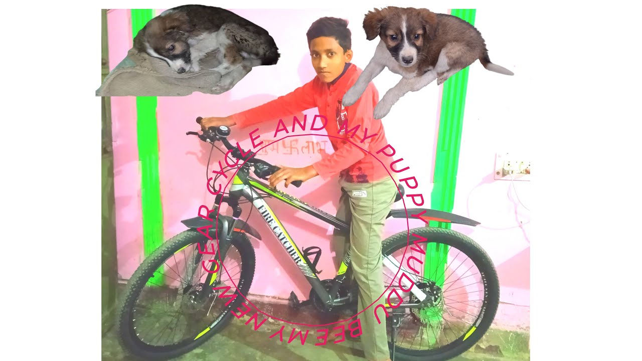 MY NEW GEAR CYCLE UNBOXING TO 1 VLOG MY PUPPY BEEMAR GO TO HOSPITAL \\ TECHNICAL BHAI