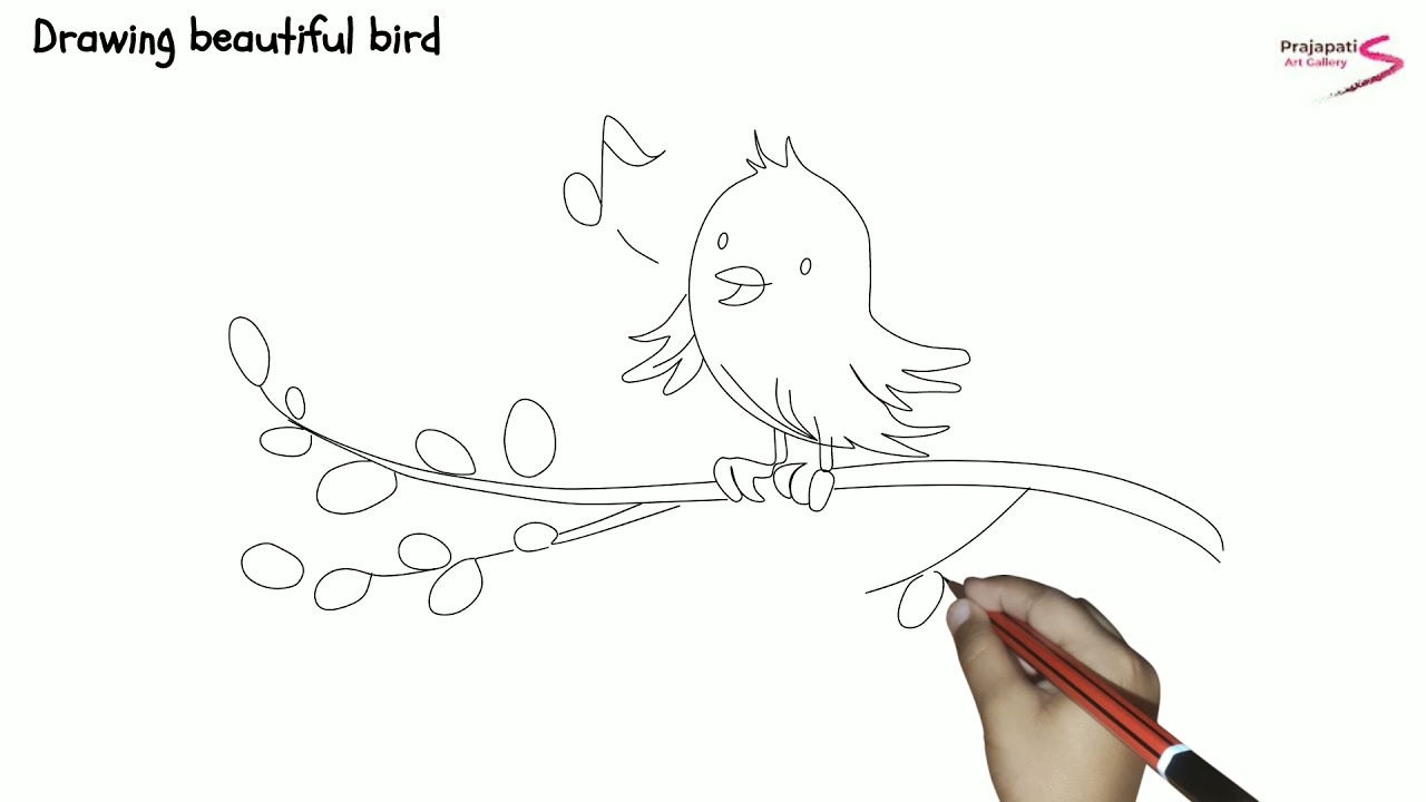 how to  draw a bird | how to draw bird step by step | easy bird drawing | bird drawing