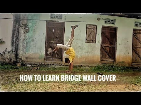 How to learn Bridge wall cover