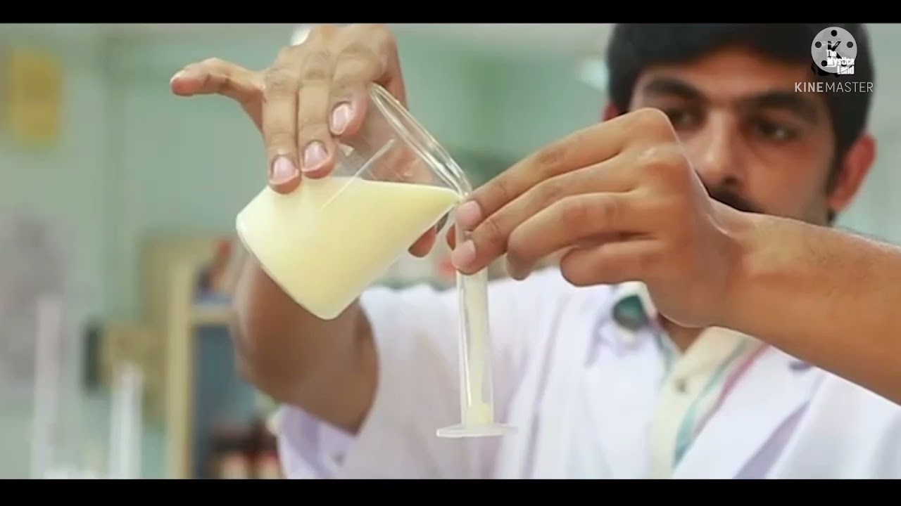 देख लो - कैसे बनता है डब्बे वाला दूध ||