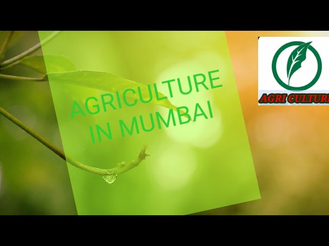 AGRICULTURE IN MUMBAI