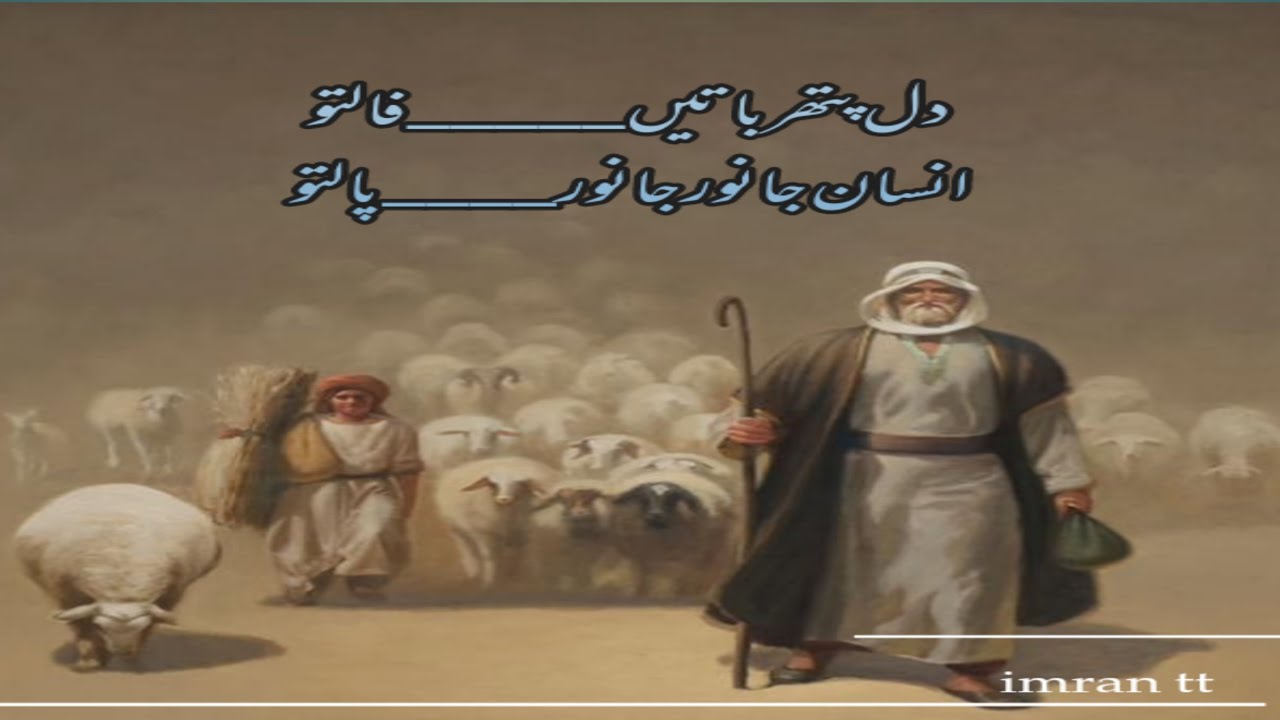 urdu poetry || urdu shairy || imran tt