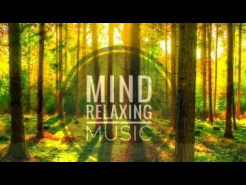 Mind Relaxing Music||Meditation music ? |Boost your Immune system | deep breathe||