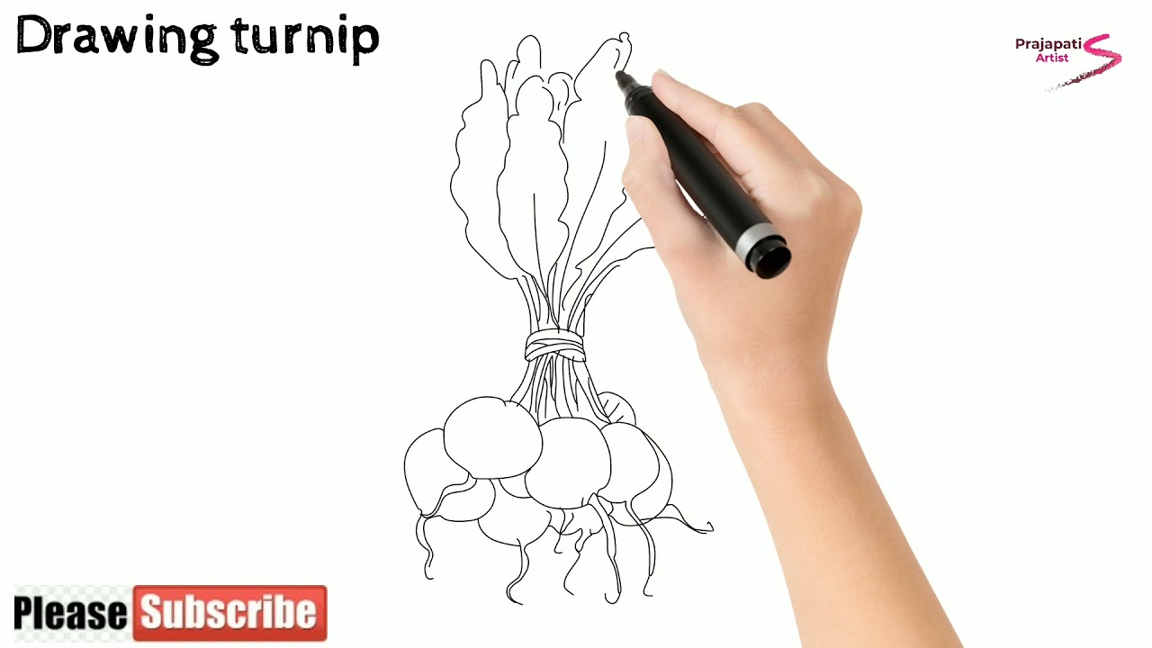 how to draw turnip | how to draw turnip step by step | turnip drawing | easy turnip drawing |