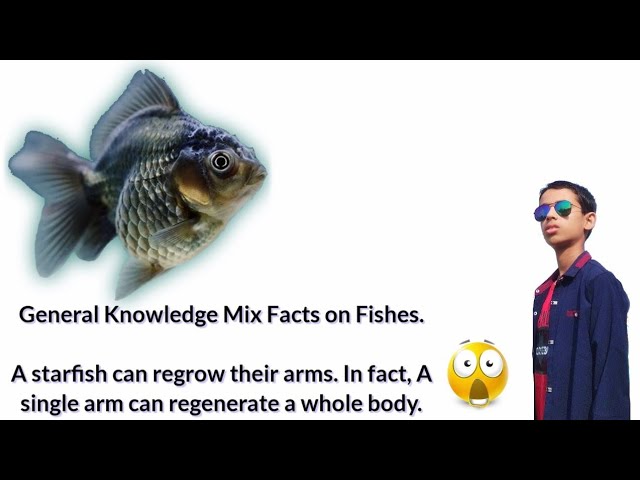 General Knowledge Mix Facts on Fishes.
