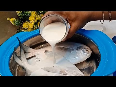 Pomfret(paaplet) fish curry in coconut milk|Yummy Tummy