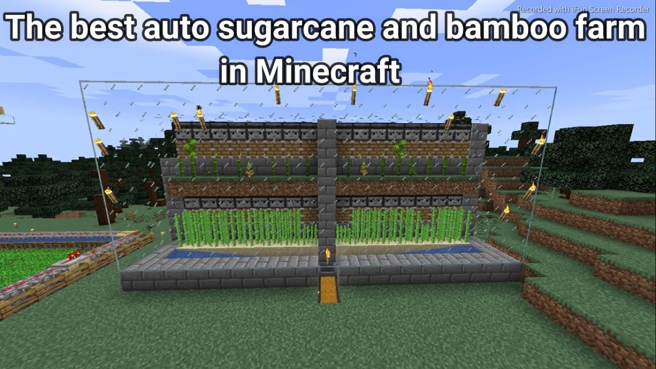 The best sugarcane and bamboo farm  Minecraft #24