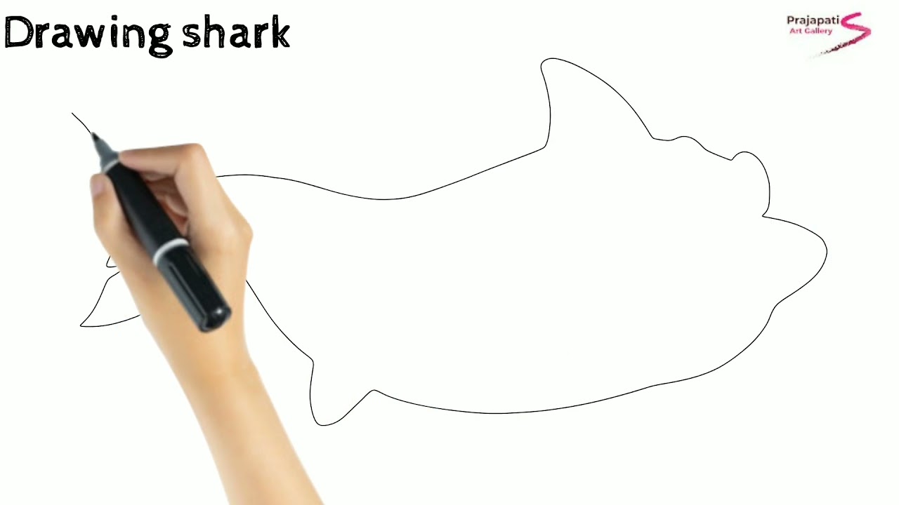 how to draw a shark | how to draw a shark step by step | easy shark drawing