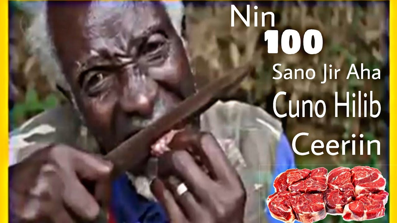 100 Sano Ayuu Cunayey Hilib Ceeriin Ah Sidaan Ayuuna Noqday.  CAJIIB!!s