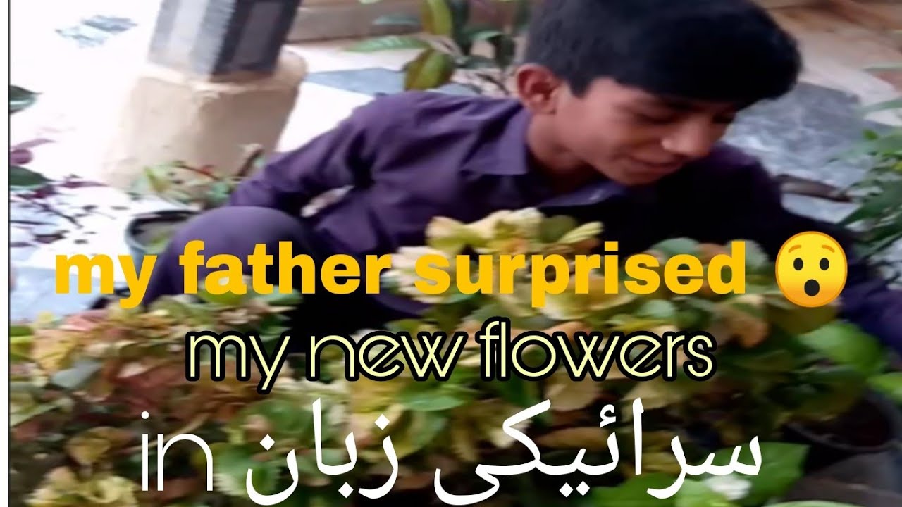 My father surprised ? || my new flowers || 3mast friend
