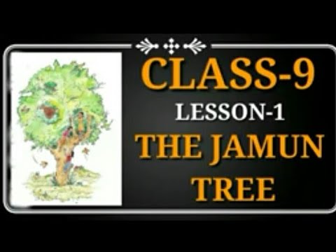 class -9th Lesson -1 jamun tree -(जामुन का पेड़ )