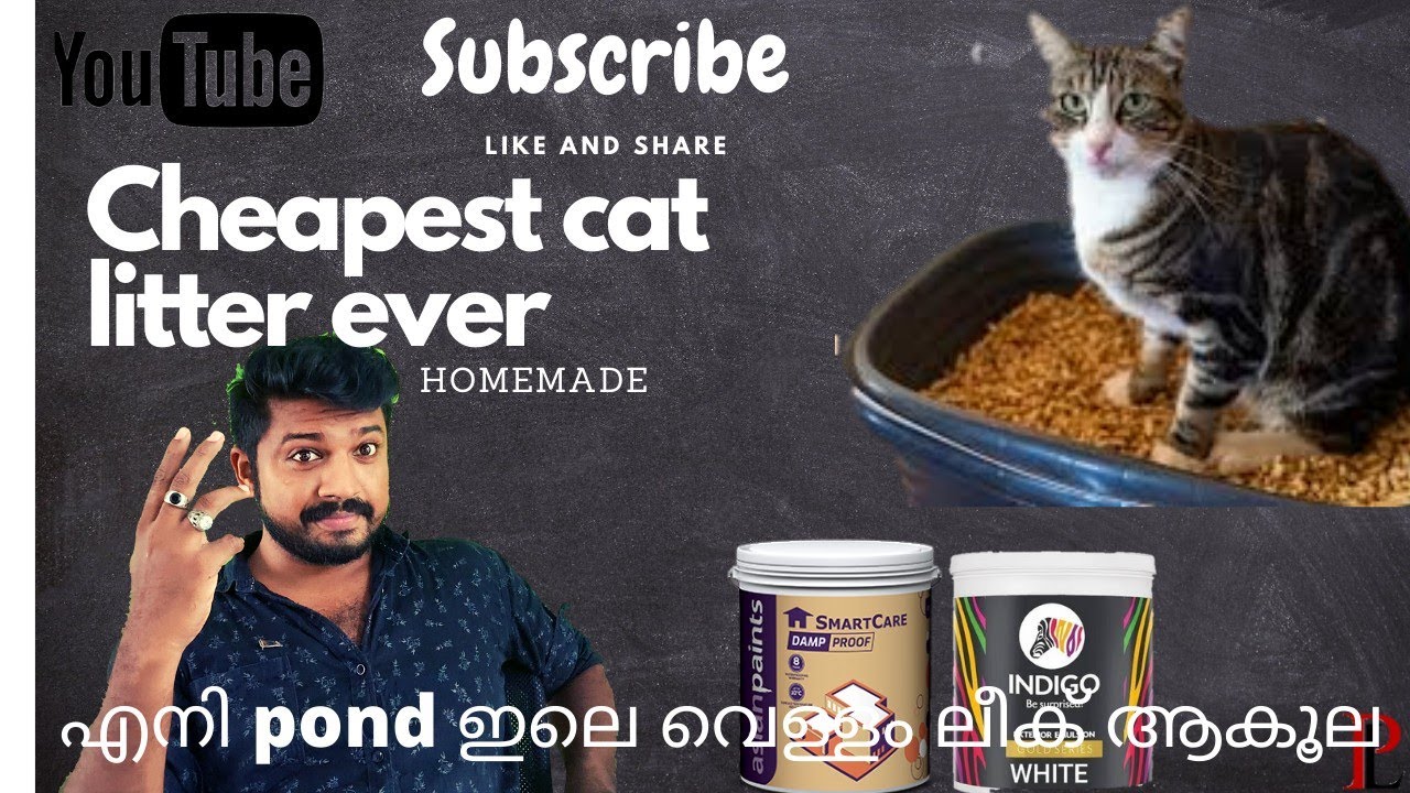 #catlitter#cheapest#pondleakage#malayalam. CHEAPEST CAT LITTER HOME MADE|HOW TO PREVENT POND LEAKAGE