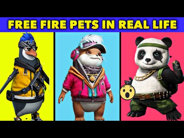 FREE FIRE PETS IN REAL LIFE (Free fire mascotas en la vida real)